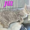 Jill